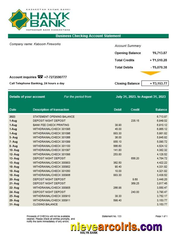 Halyk Bank organization account statement